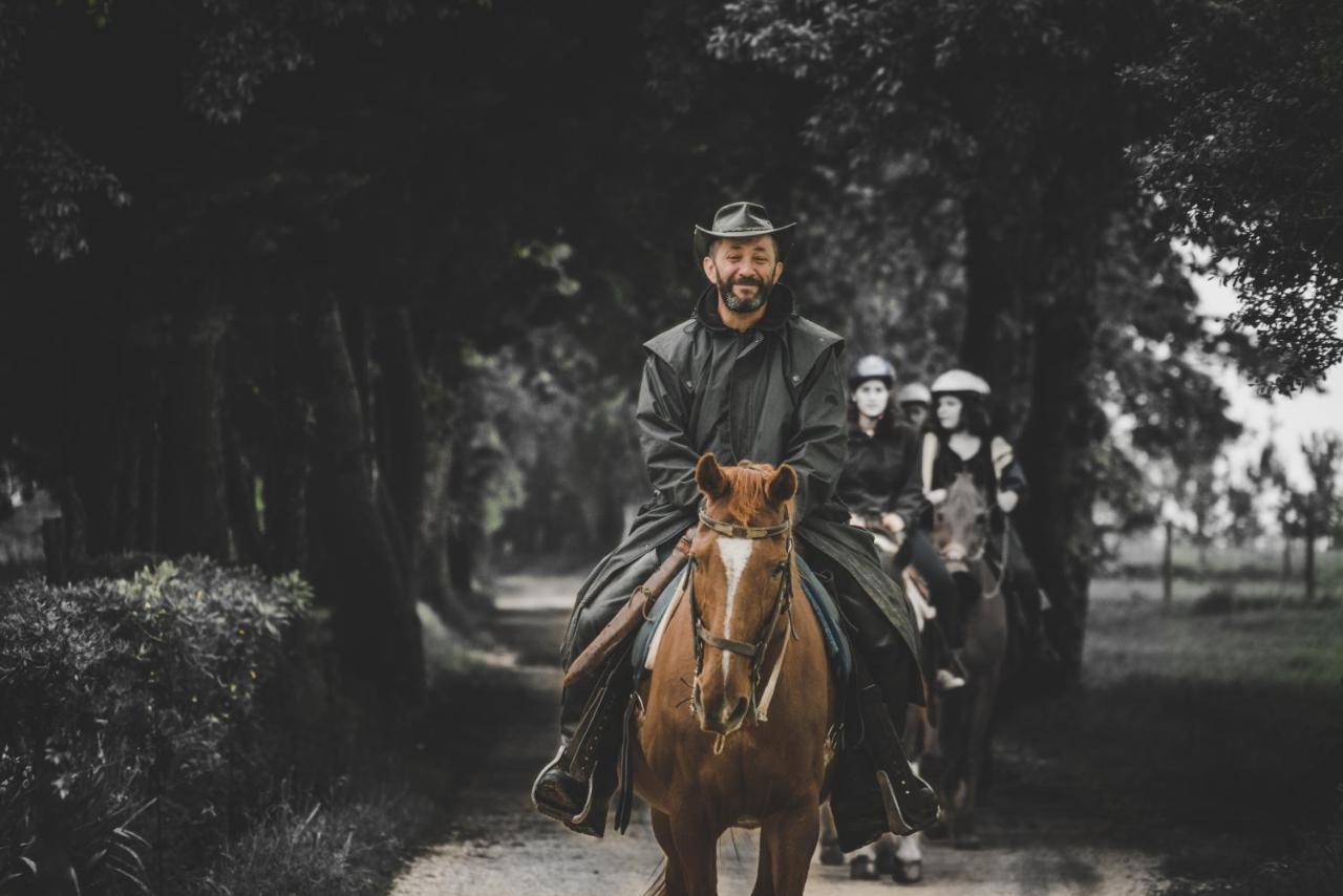 Glamping In Toscana, Luxury Tents In Agriturismo Biologico Sorano  Dış mekan fotoğraf